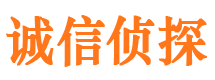 龙山找人公司